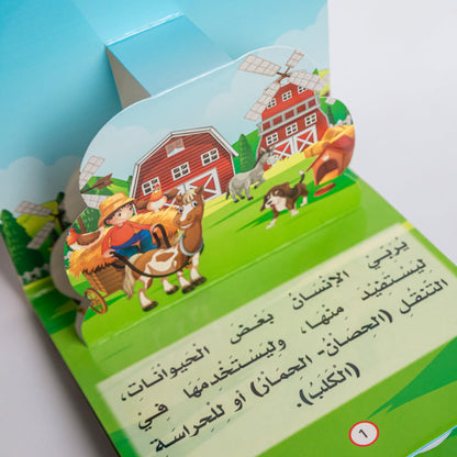 سلسلة هل تعلم التعليمية مجسمة