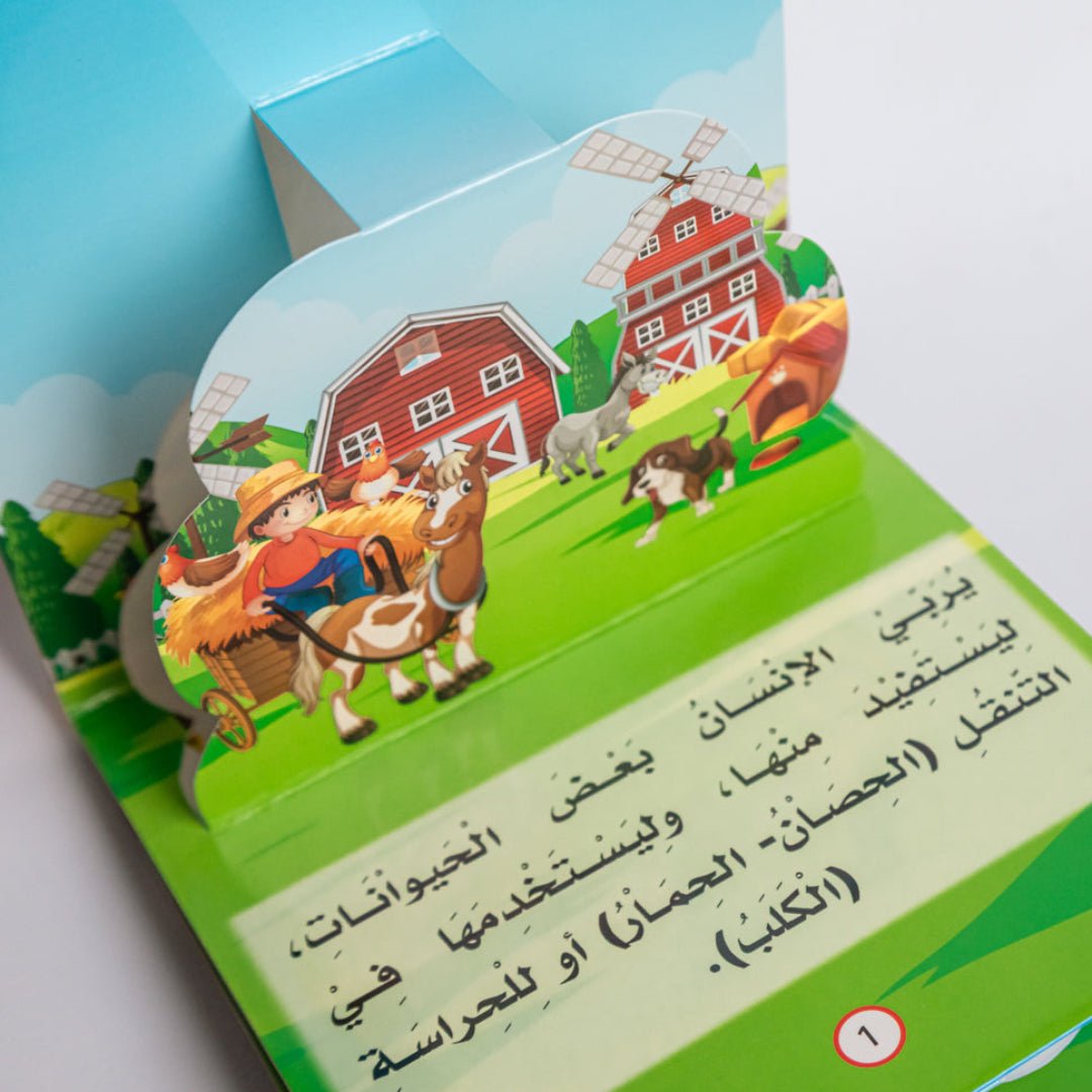 سلسلة هل تعلم التعليمية مجسمة - Skills Toy Store